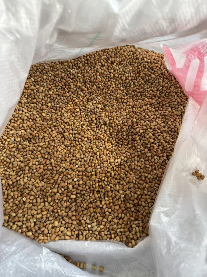 （哥弟）潮汕农家本地赤豆