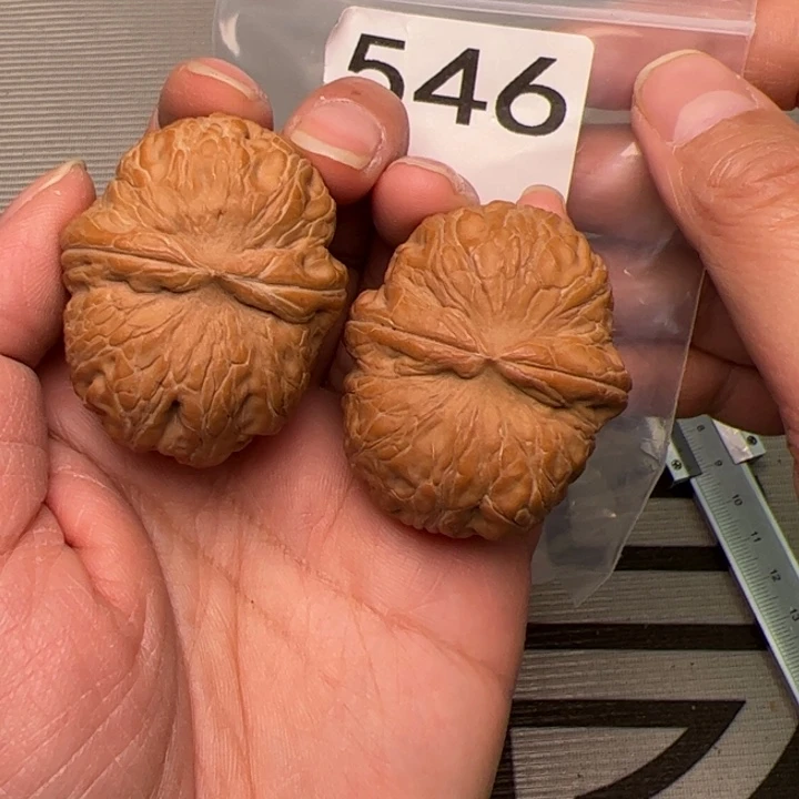 核桃全品元宝546号43尺