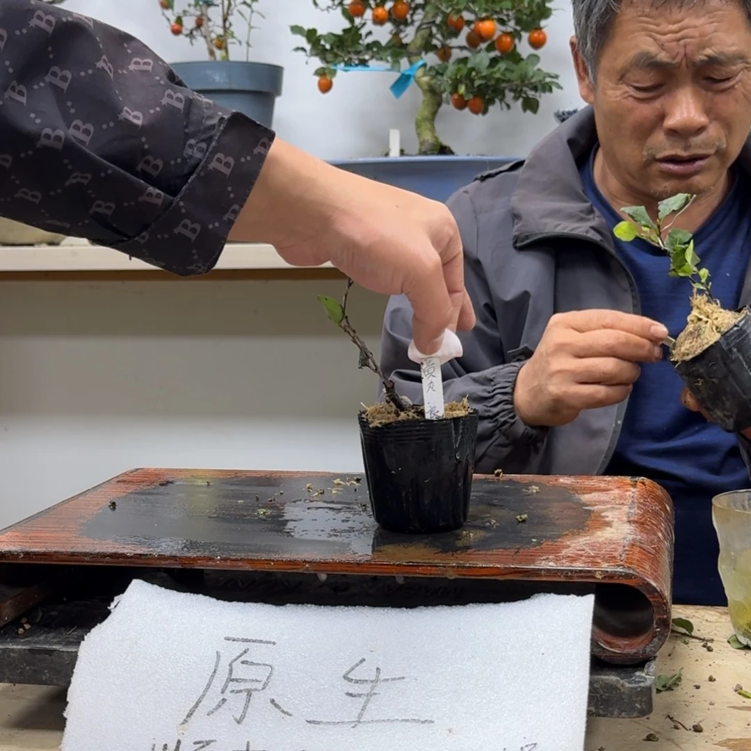 K***哥无花朵667顺丰到付不包邮