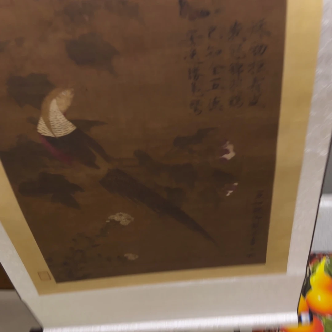 竖款直播间。    福利