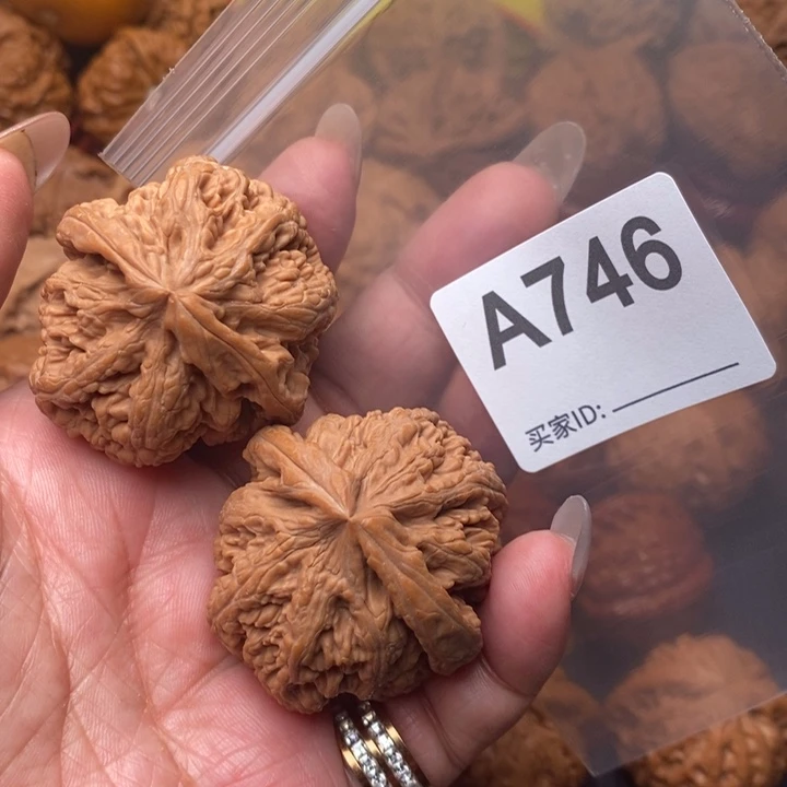 核桃把件粗筋41加746号