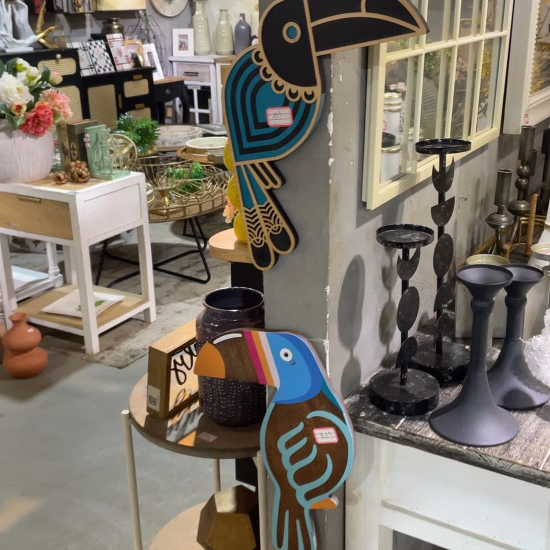 横款牛*大嘴鸟2只as