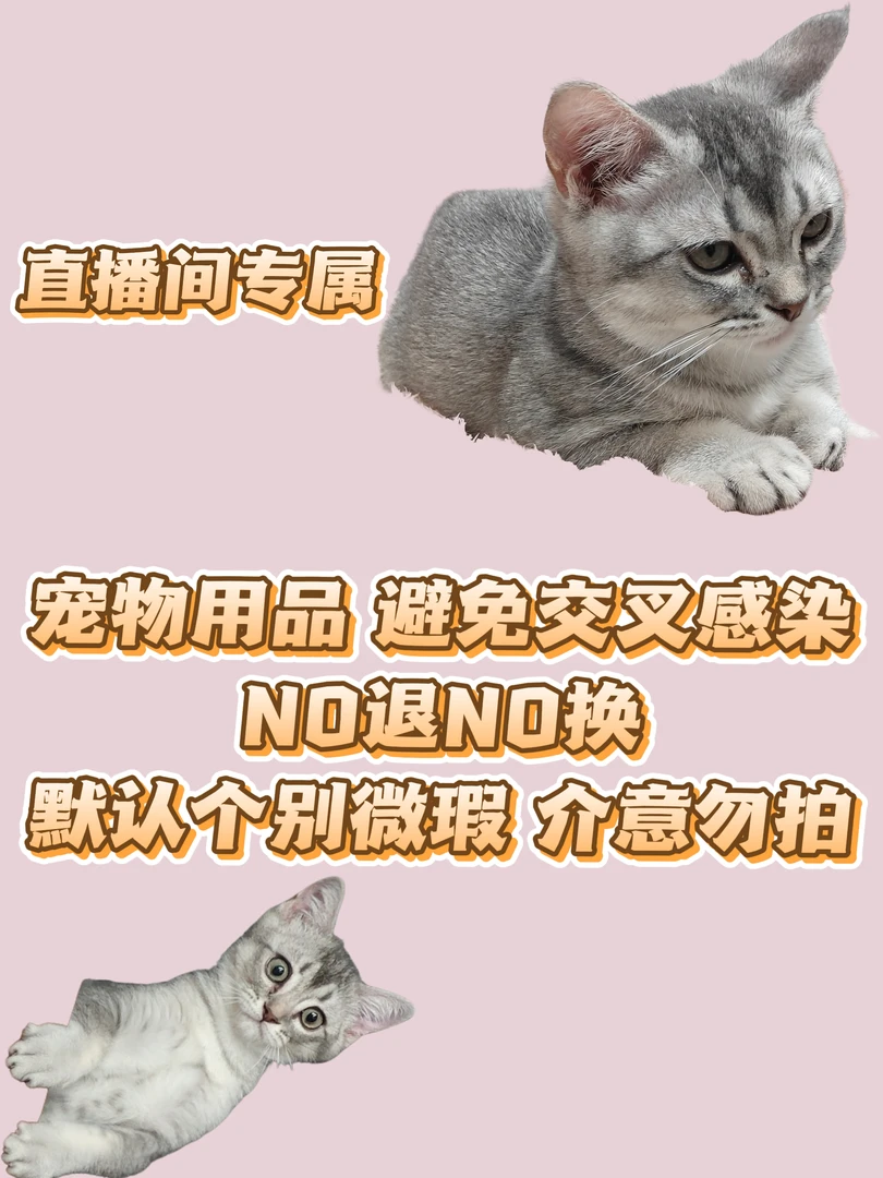 （直播间专用）猫咪玩具自选组合 NO退NO换  默认微瑕