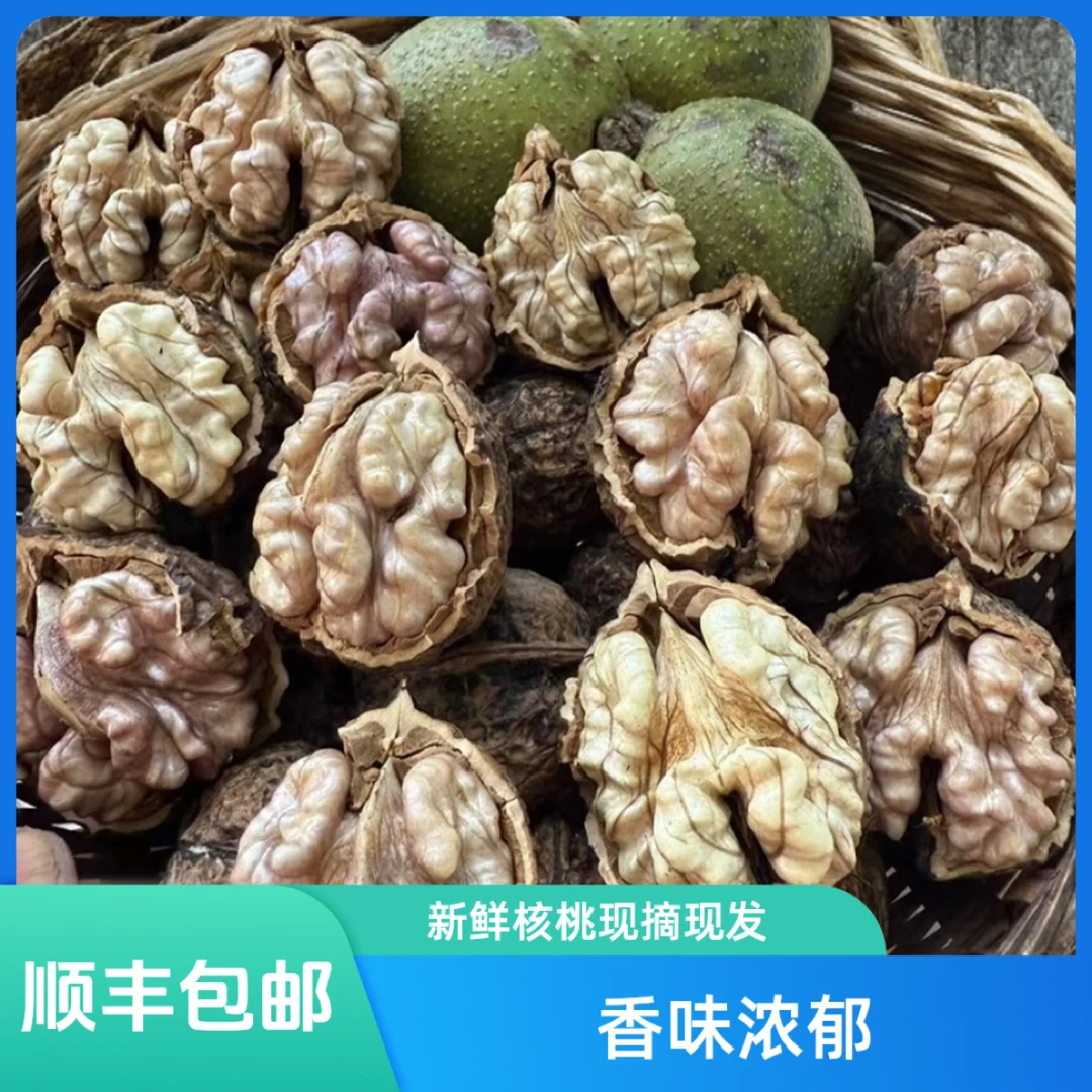 (顺丰包邮)云南紫米娘亲山核桃湿核桃小核桃香糯回甜3/5斤包邮