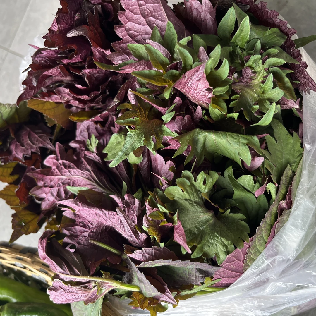 -筻助农-  干艾叶、干紫苏