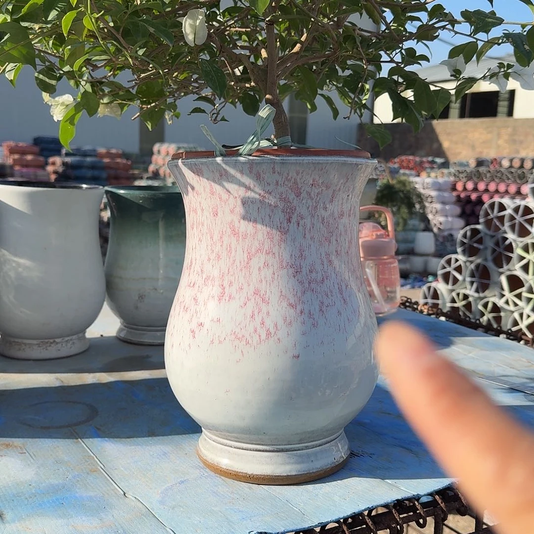 口径20高度30正品的