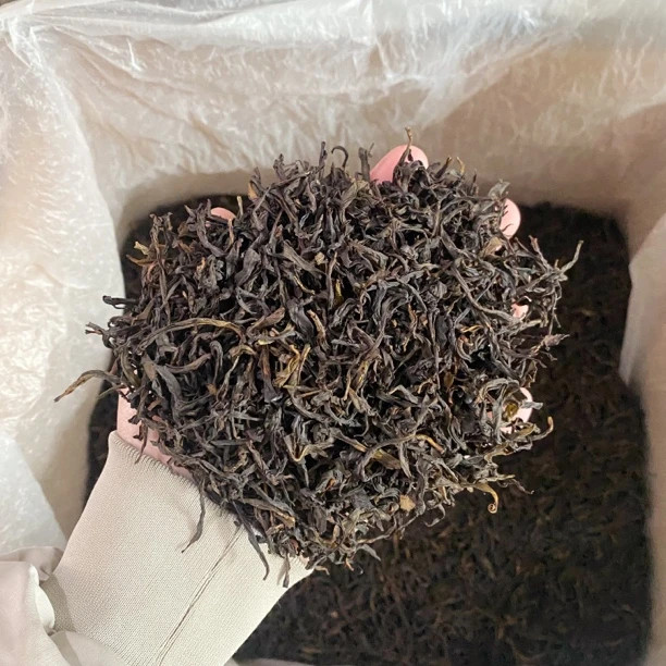 2025年新茶岭头雪春蜜兰香凤凰单丛花香蜜韵罐装250/500g