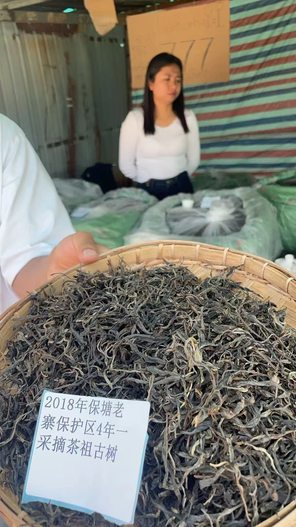 古树散茶18年保塘老寨保护区4年-采摘茶祖古树XF200SA7A0030AE-