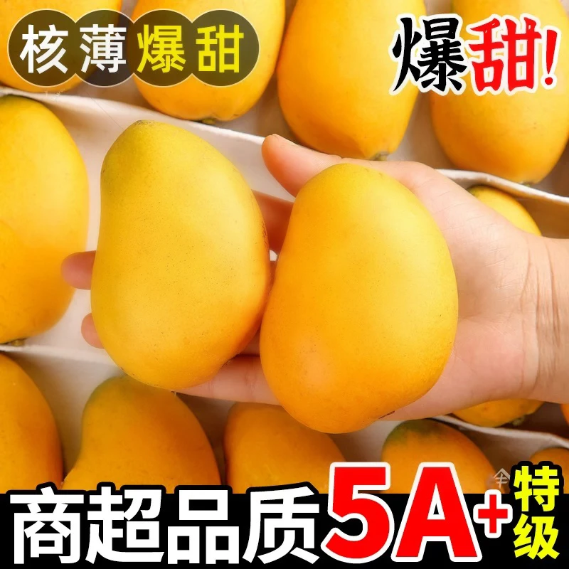 [顺丰次日达]海南头茬小台芒9成熟一级果精品芒果轻微带绿头半山果皮薄核小新鲜水果应季热带水果