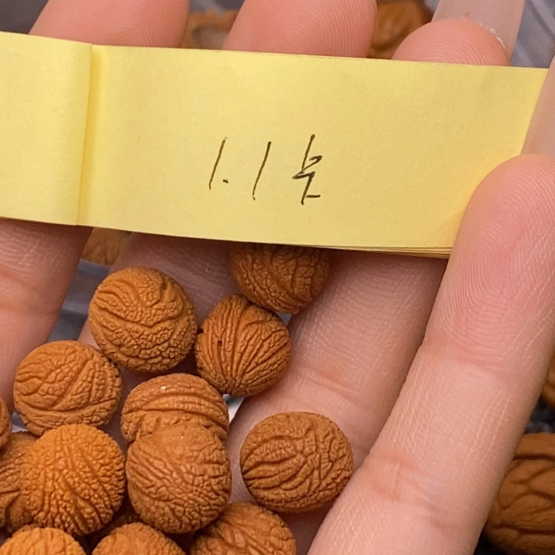 秦岭山脉龙纹桃核 21