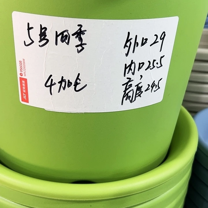 特价5号口29高24.5白色5只无托