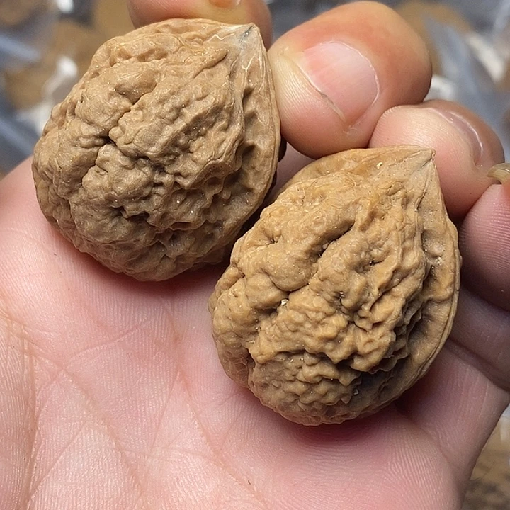 文玩核桃把件云南铁核桃82