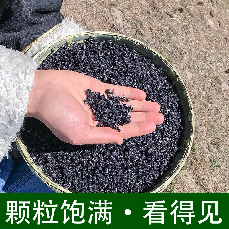 野生黑枸杞干正品免洗泡水批发黑枸黑果