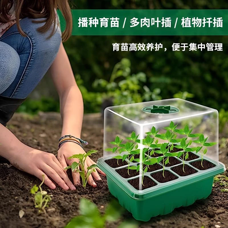 多肉叶插育苗盆培养播种盒保湿温育苗盘12孔育苗盒带盖防水盒子
