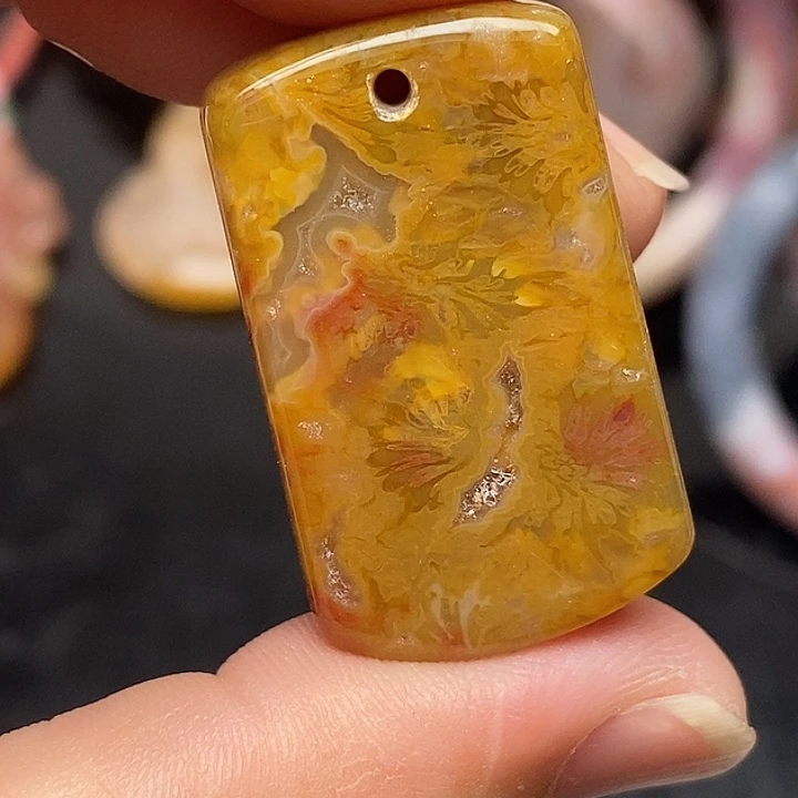 硅化玉未镶嵌颈饰