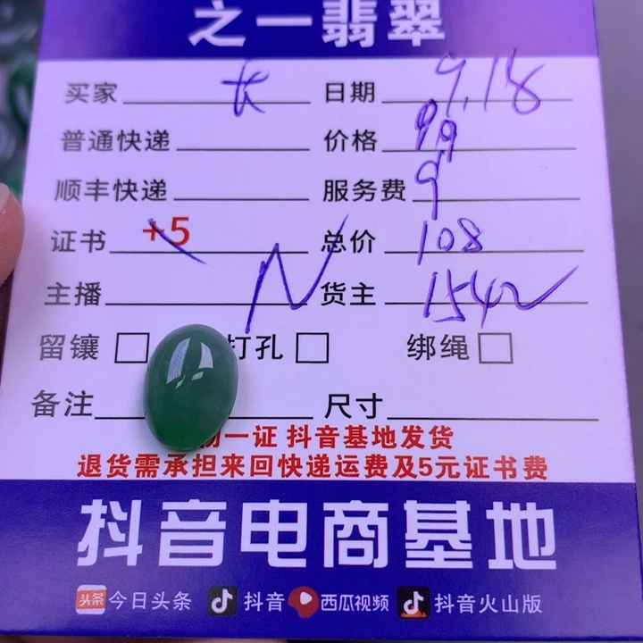 颈饰未镶嵌翡翠长**风