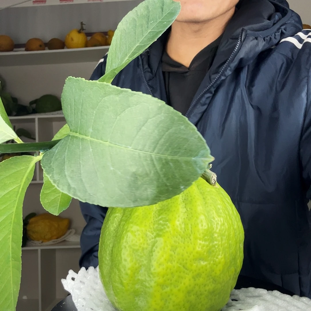 李***悦香水柠檬云南高山大香橼