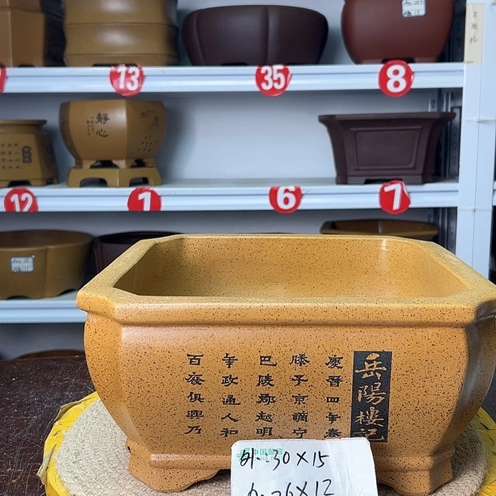 紫砂花盆你在一起