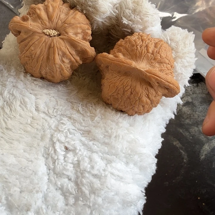 文玩核桃吊坠血麒麟