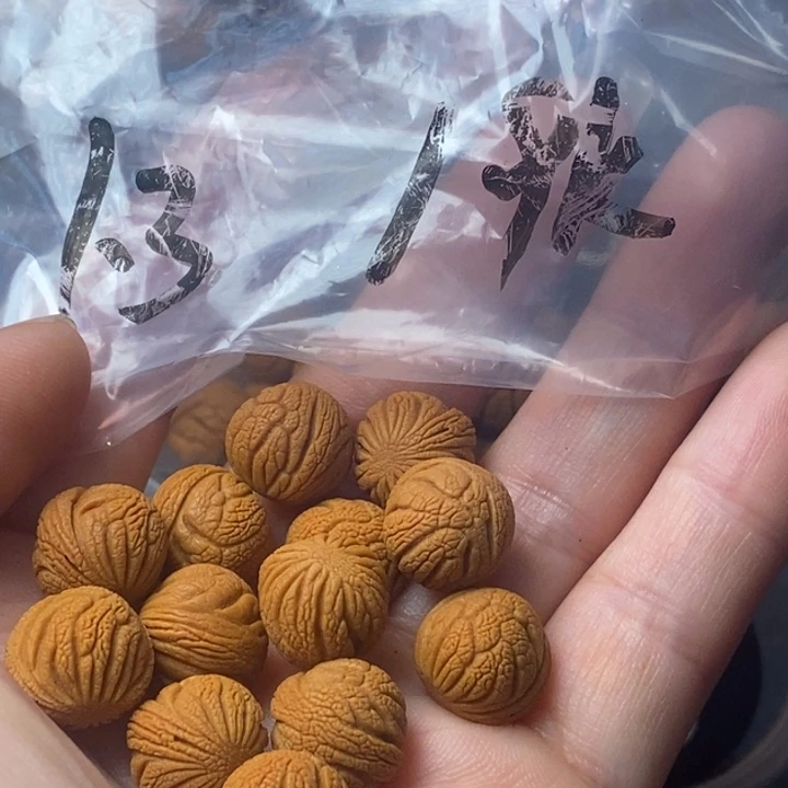 桃核吊坠秦岭野生龙纹桃核13