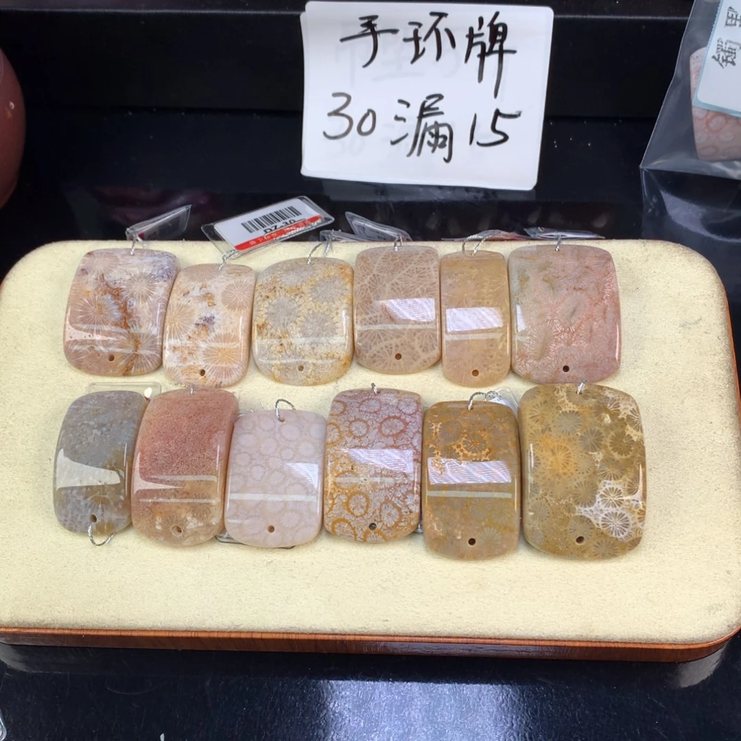 硅化珊瑚（珊瑚玉）未镶嵌吊坠(赠链)15米一个可挑（46号）