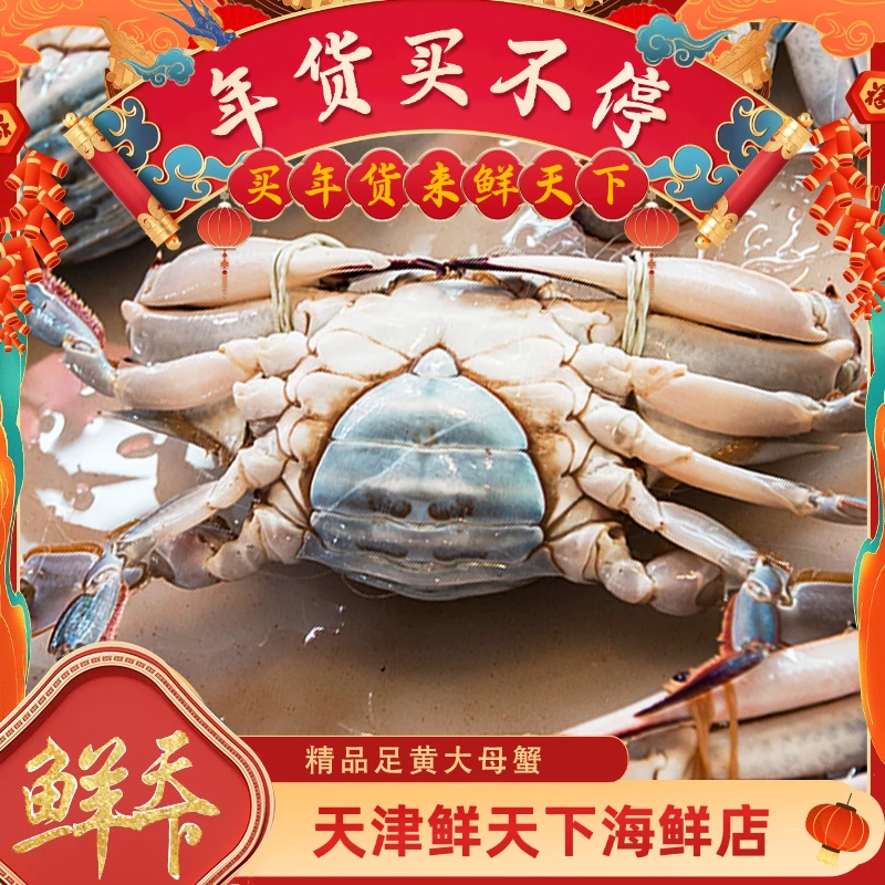 【保鲜不保活】精品足黄大母蟹一斤2只左右 单只4-5两 掉爪