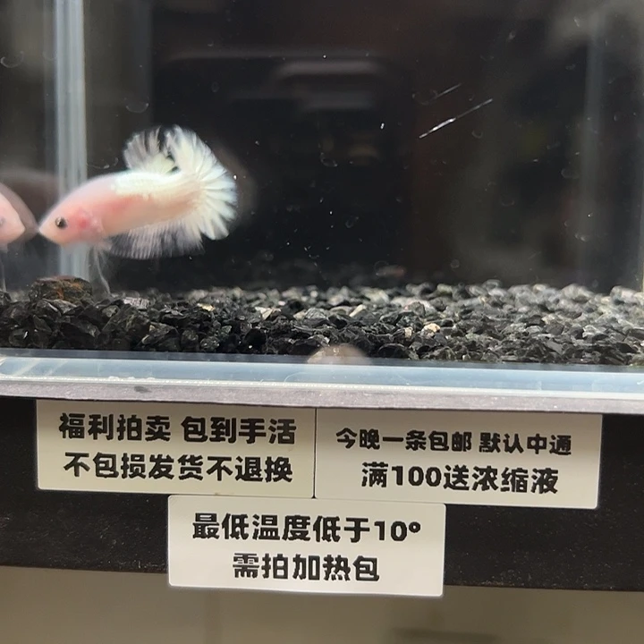 斗鱼竞拍跑单拉黑29日94