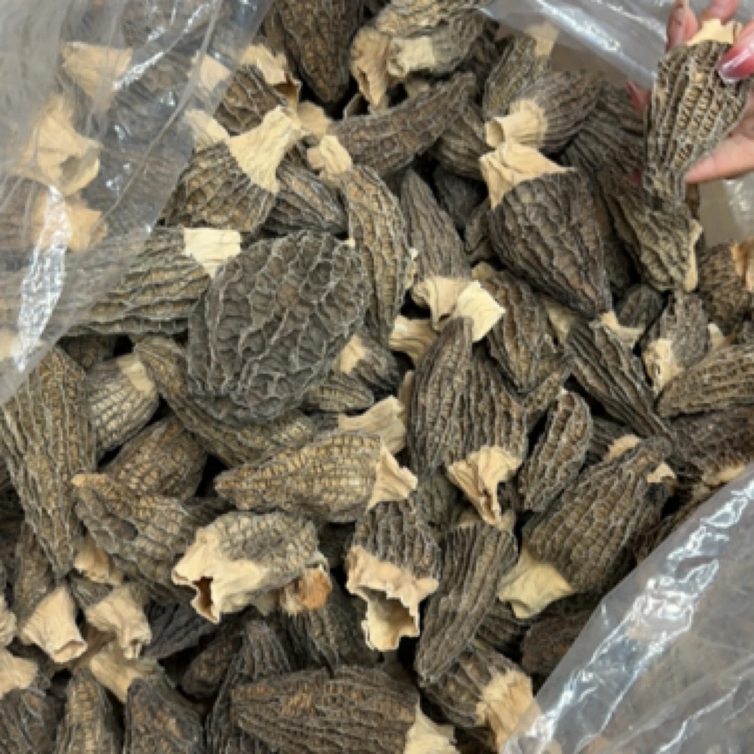 头茬里挑出来的品相很一般的羊肚菌介意勿拍（黄一点）