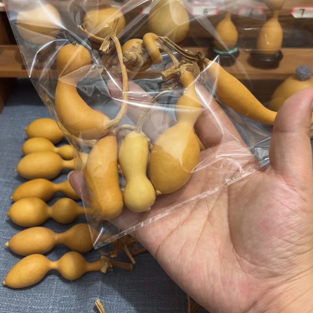 遇*猫蚂蚁连枝加4个异性