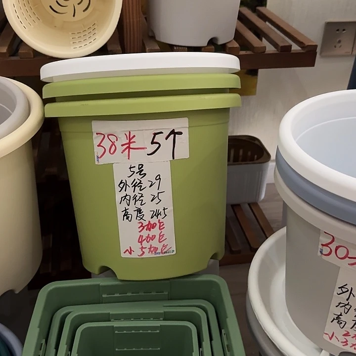 果绿色5号口径29高25无托5个
