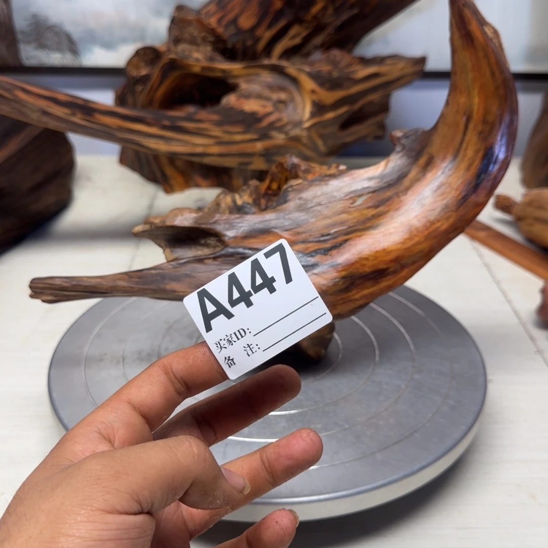 －***在木哦哦哦哦哦哦哦哦哦55