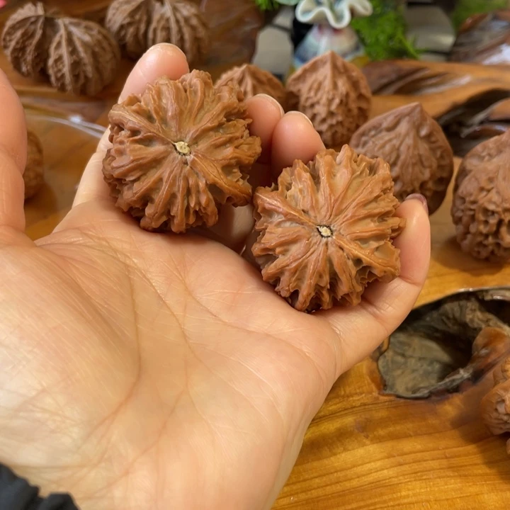 核桃野生灯笼狮子头