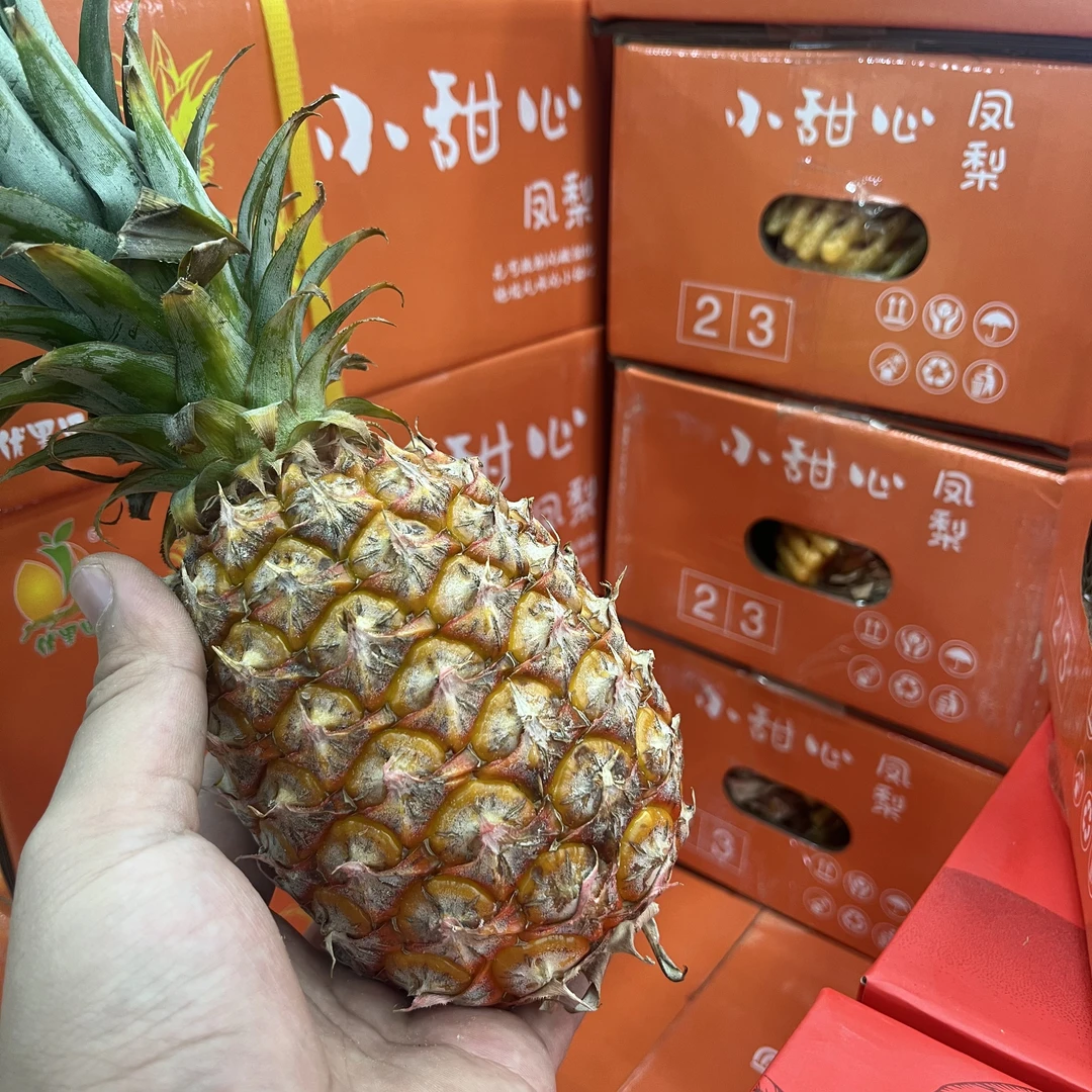 【原箱】【Z】【新到好吃的小甜心凤梨】（箱/3个） 仅太原六城区榆次可拍