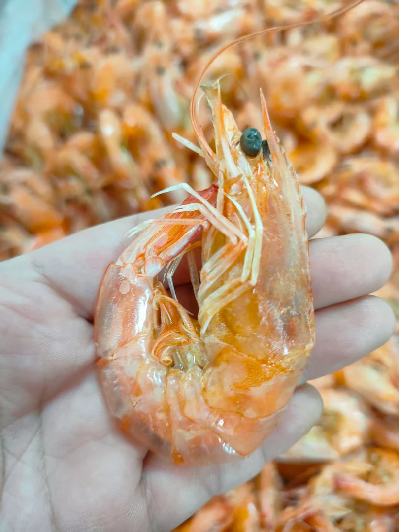 青岛本地活虾现烤大田烤虾海鲜干货（派大星专属）