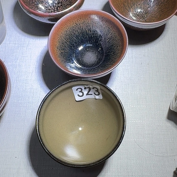 茶盏提出解决农村留守学生入学