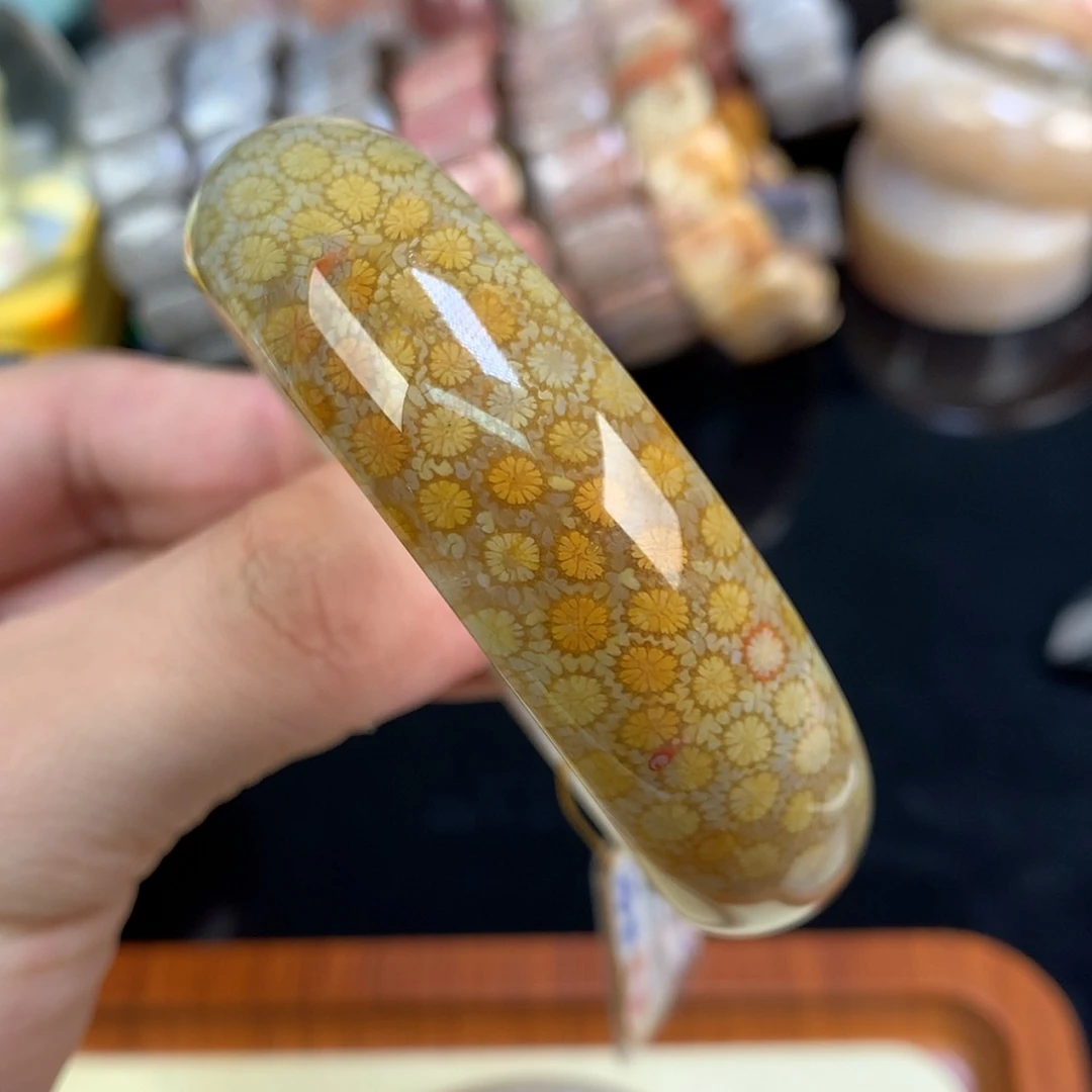 【闪购商品】颈饰未镶嵌硅化珊瑚（珊瑚玉）94号55.7圈金皮雏菊
