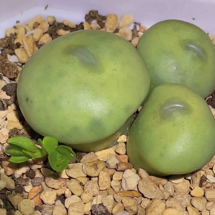 588888880888888888888