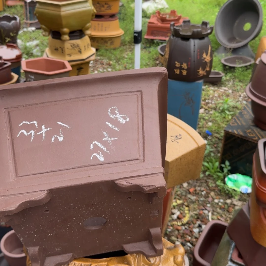 紫砂花盆紫砂花盆花盆盆景盆栽