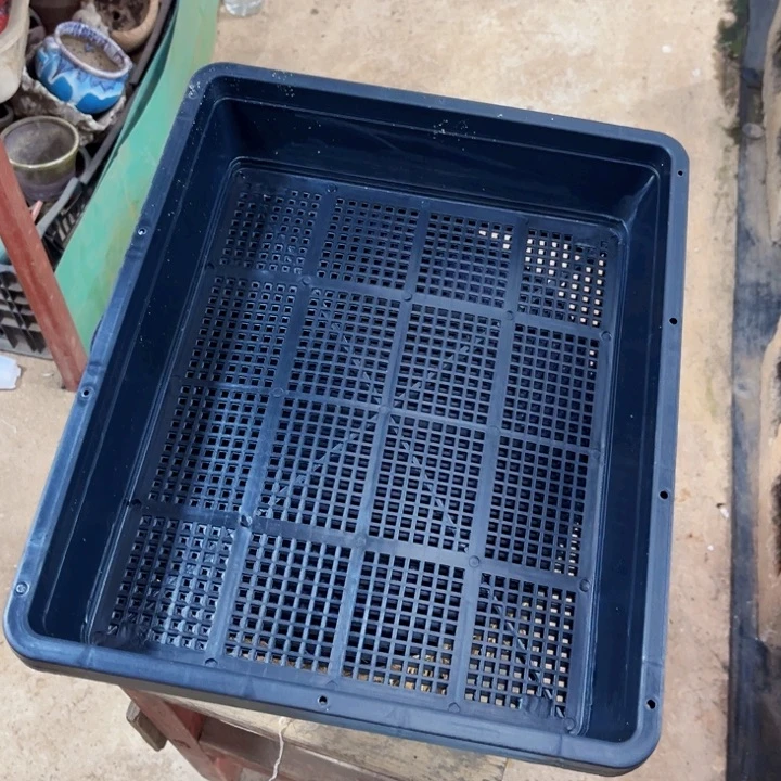 育苗盘37-30.-7一组6个