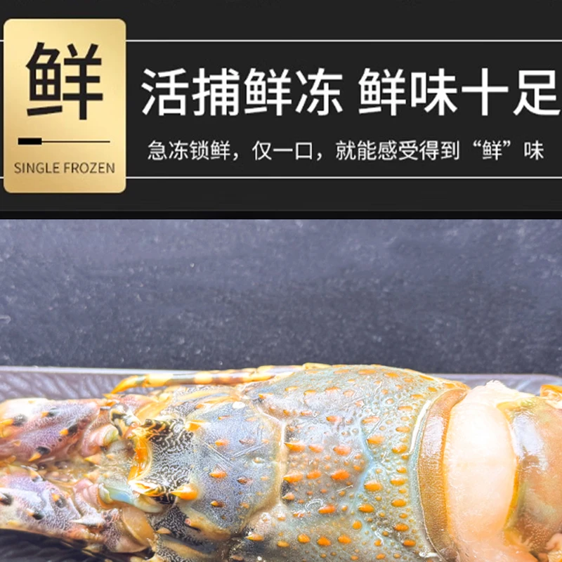 特大号古巴龙虾鲜活冷冻超大花龙虾保鲜海鲜年货送礼海鲜水产