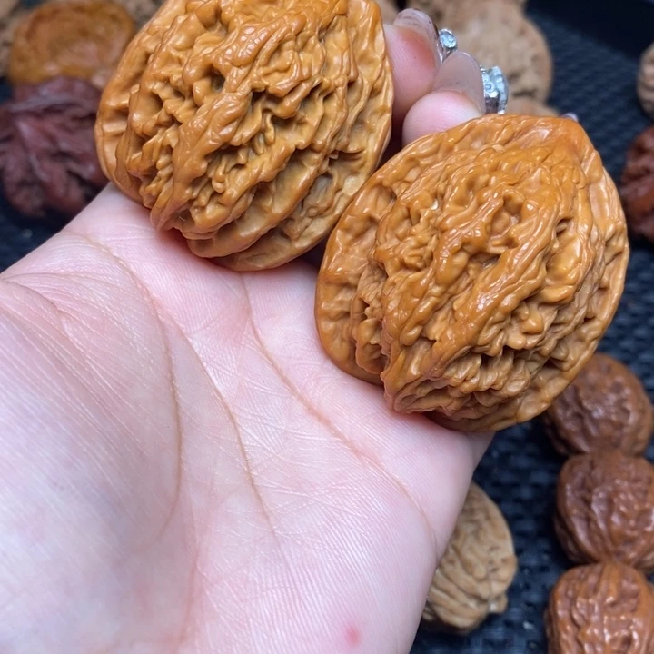 秦岭野生000000000017