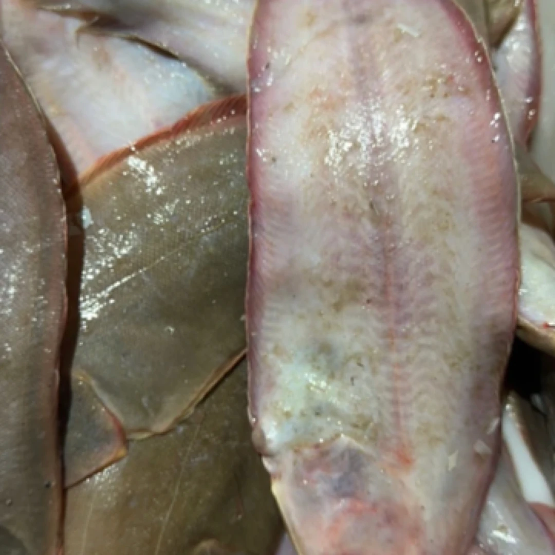 牛舌头鱼（直播间现场称链接）