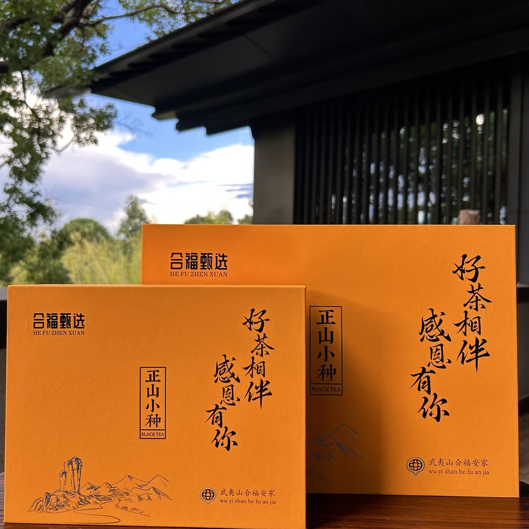 正山小种红茶商旅便携礼盒装