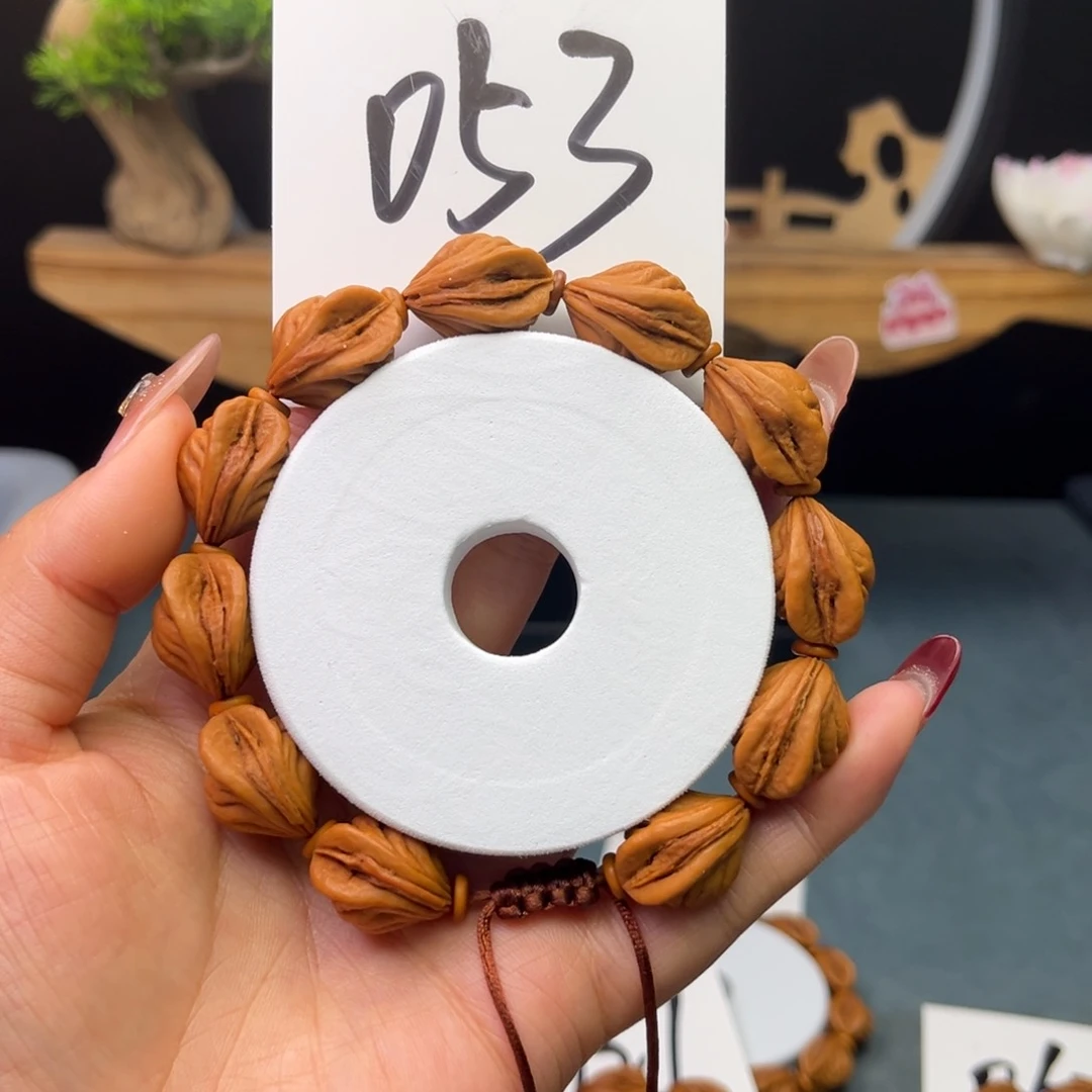 桃核手串15生命之源