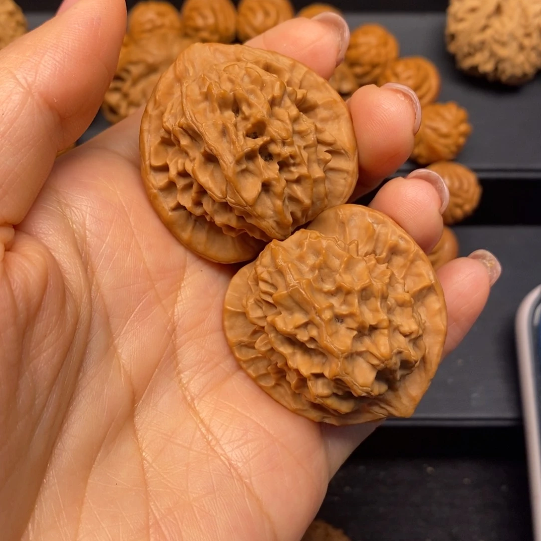 秦岭南侧和东北的山