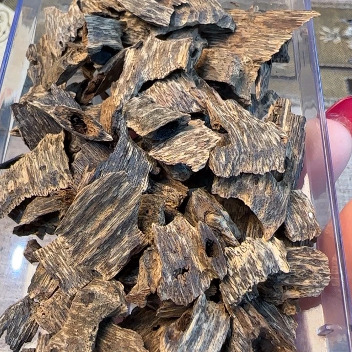 摆件沉香海南野生虫漏22克