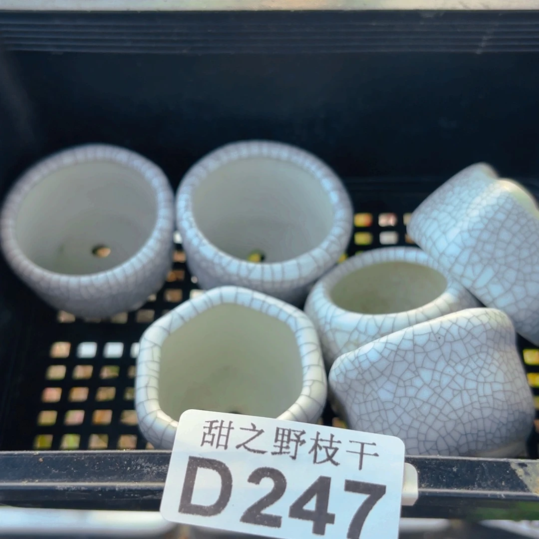 J****^六个盆247。