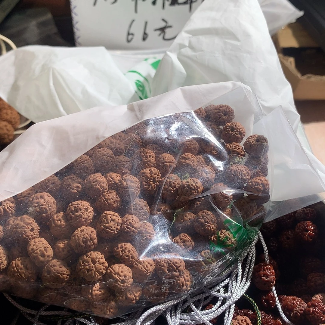 手串金刚菩提平细树王老树王散籽