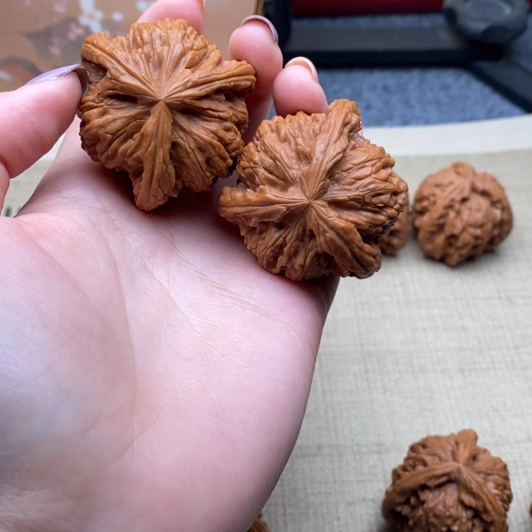 空*缘白狮子111111111