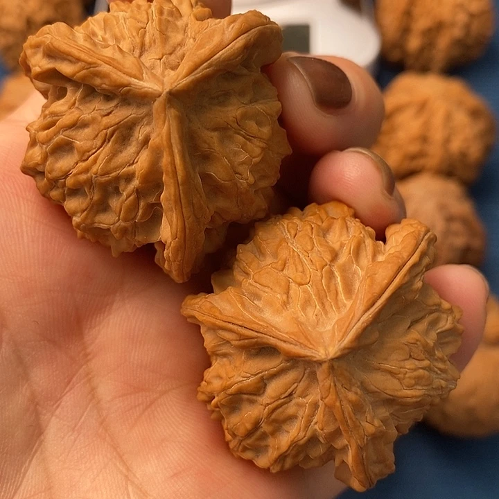 核桃三陵全品福利防漏价格